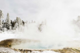 Yellowstone in Winter