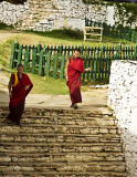 Monks in the Paro Dzong