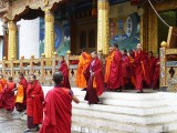 Monks leaving the Temple, Punakha