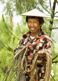 Cow herder near Ranjung