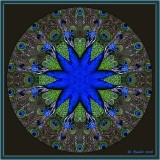 Peacock - Peace Mandala_152