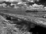 Clouds over marshland_