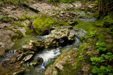 Cascade in Thunder Canyon, Cecil Cove Trail