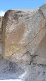 Another group of petroglyphs