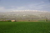 b36.jpg