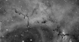 Rosette nebula, gros plan