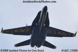 A solo Blue Angel at the 2008 Great Tennessee Air Show practice show at Smyrna aviation stock photo #1447