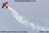 Lucas aerobatic act at the 2008 Great Tennessee Air Show practice show at Smyrna aviation stock photo #1489