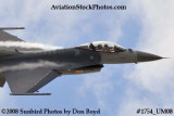 USAF F-16 East Coast Demo at the Great Tennessee Air Show at Smyrna aviation stock photo #1754