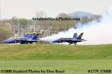The Blue Angels takeoff at the 2008 Great Tennessee Air Show at Smyrna aviation stock photo #1779