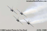 The Blue Angels at the 2008 Great Tennessee Air Show at Smyrna aviation stock photo #1781