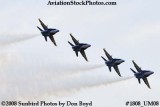 The Blue Angels at the 2008 Great Tennessee Air Show at Smyrna aviation stock photo #1808