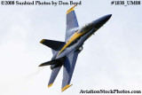 One of the Blue Angels at the 2008 Great Tennessee Air Show at Smyrna aviation stock photo #1838