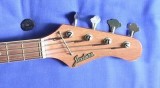 Jedson Tele Bass