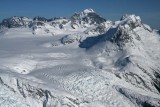 MonarchIF021808-_459.jpg