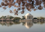 Jefferson Memorial, Washington DC from the Tidal Basin one early morning in April