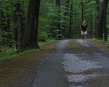 Evening Walk