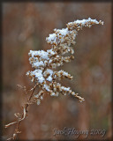 First snow of the season