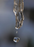 Ice Cycle Drip