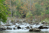 Creek at Hueston Woods