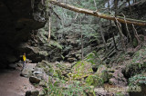 Conkles Hollow Gorge Trail