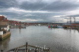 IMG_9290.JPG