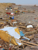 beach rubbish, Easington I