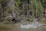 _MG_3050 800.jpg