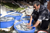 Fish Market - Galata Bridge