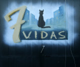 7 vidas