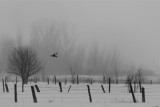 mascouche