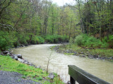 Six Mile Creek, Ithaca NY