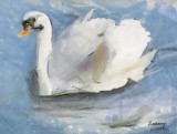 the swan