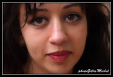 NOHED017.jpg