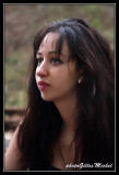 NOHED020.jpg