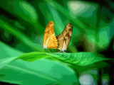 Encounter