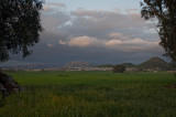 Menifee landscape