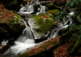 Creek Along a Back RD in VA We Driving on, 1/2/09