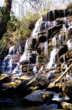 Yellow Branch Falls SC.