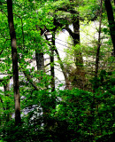 The Big Falls 100 + Ft. We name them horse shoe Falls