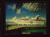 Lisa's Cruise Gallery