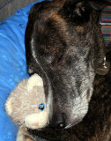 Asleep Max