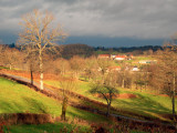 Bellegy