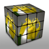 Rubiks Iris