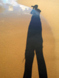 long shadows