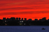 Bronx Skyline