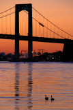 Throgs Neck Bridge