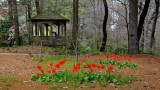 Clark Botanic Garden