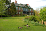 Connetquot River State Park, Oakdale