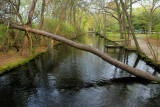 Connetquot River State Park, Oakdale